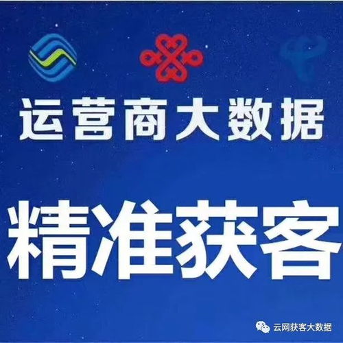 移動(dòng)與聯(lián)通 精準(zhǔn)行業(yè)大數(shù)據(jù)的提供者與全行業(yè)數(shù)據(jù)抓取應(yīng)用