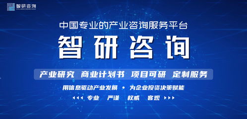2022-2028年中國(guó)金融大數(shù)據(jù)行業(yè)市場(chǎng)深度評(píng)估及投資機(jī)會(huì)預(yù)測(cè)報(bào)告
