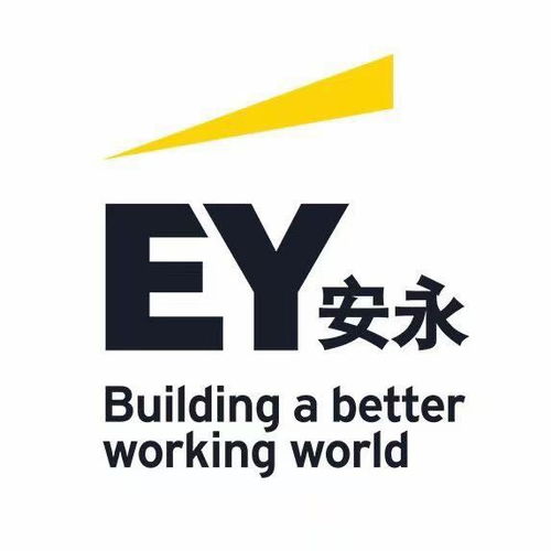 金融科技創(chuàng)新團(tuán)隊(duì)的實(shí)地實(shí)習(xí) 探索金融信息咨詢的未來(lái)